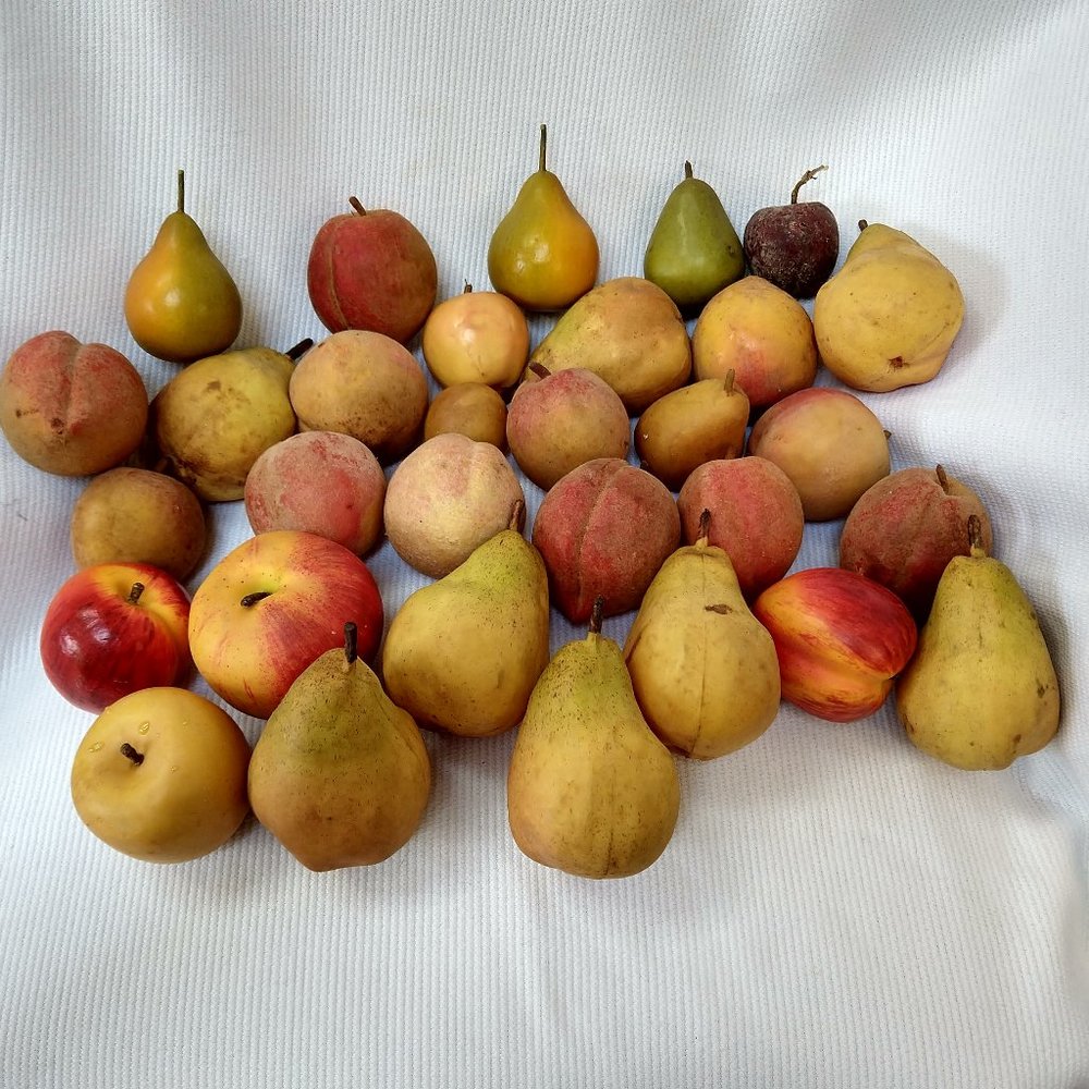 Vintage Hyper Realistic Fake Fruit / Stage Prop